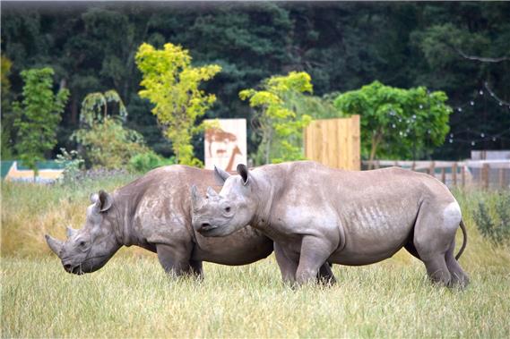 Yorkshire Wildlife Park