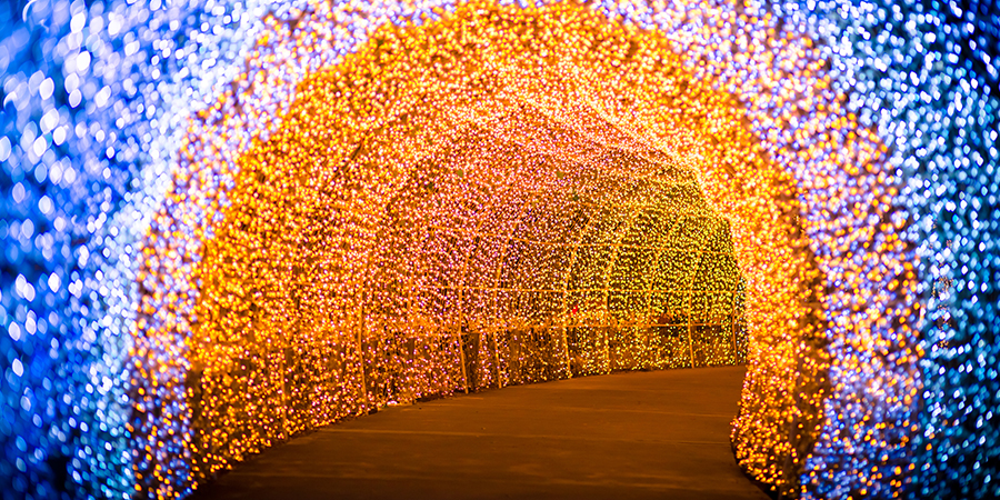 Christmas light trails and santa's grottos